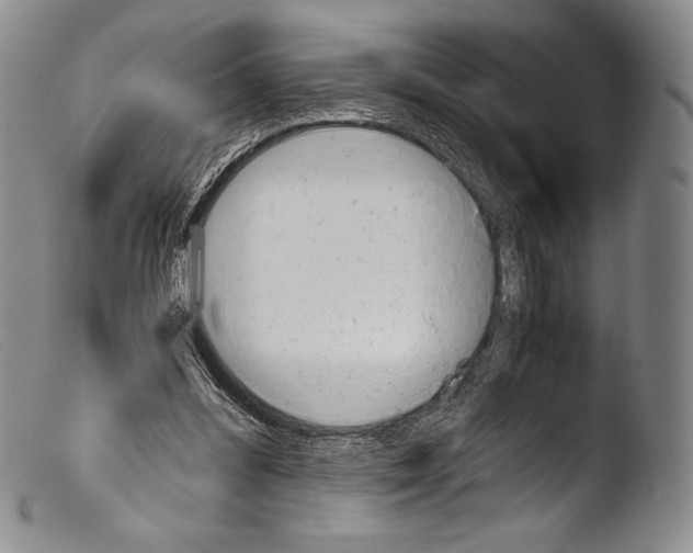 X0000103960300200810311620
