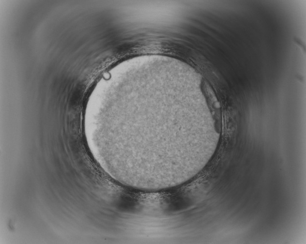 X0000103960301200810311620