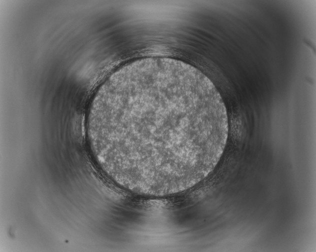 X0000103960302200810311620