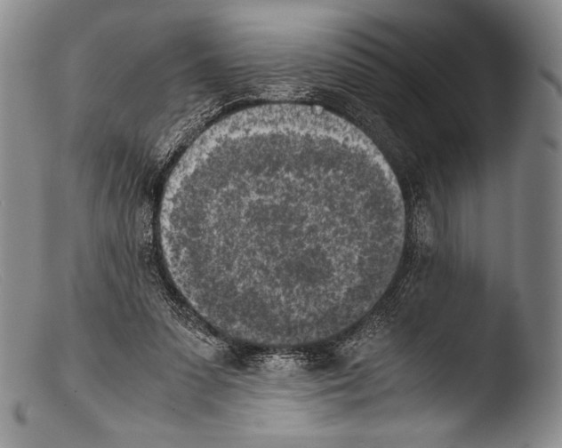 X0000103960303200810311620