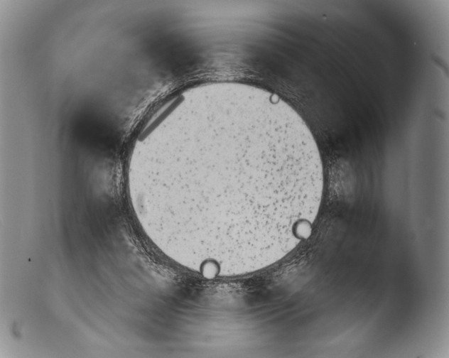 X0000103960304200810311620