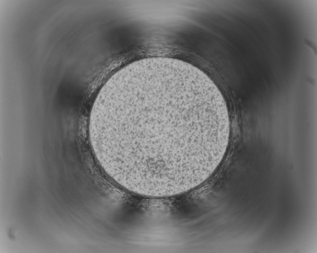 X0000103960305200810311620