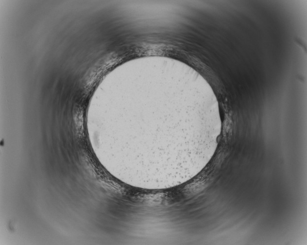X0000103960306200810311620