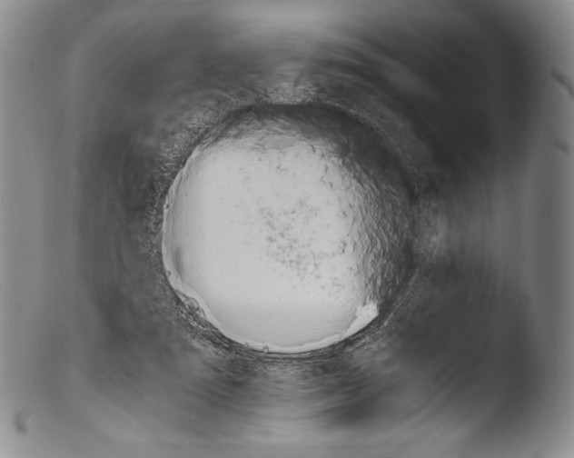 X0000103960307200810311620