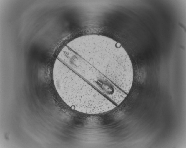 X0000103960308200810311620