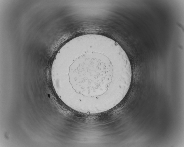 X0000103960309200810311620