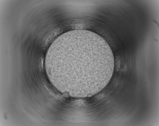 X0000103960310200810311620