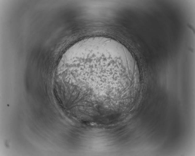 X0000103960311200810311620