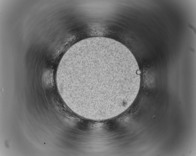 X0000103960312200810311620