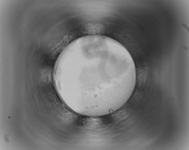 X0000103960313200810311620