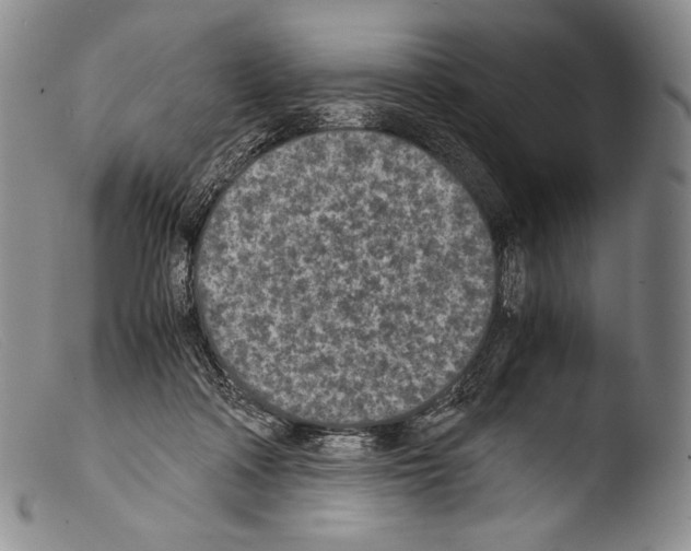 X0000103960314200810311620