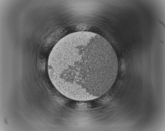 X0000103960315200810311620