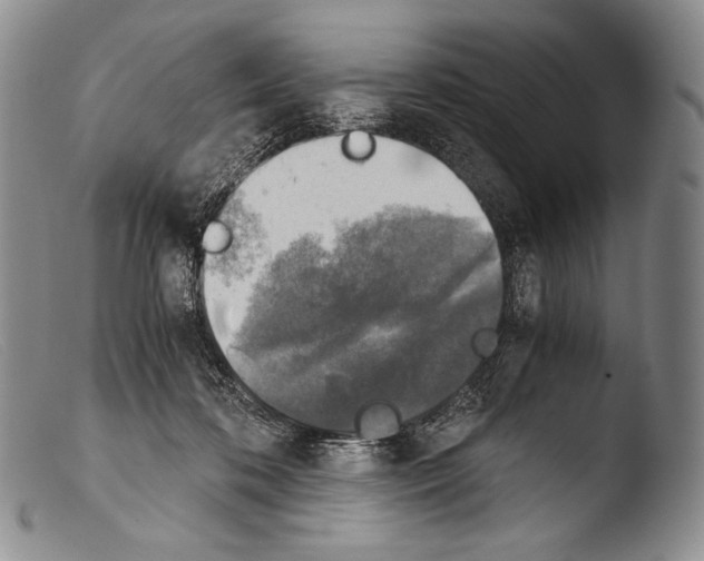X0000103960316200810311620