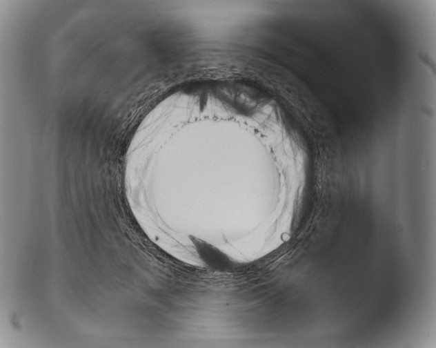 X0000103960317200810311620