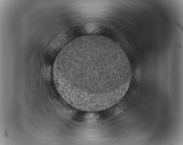 X0000103960319200810311620