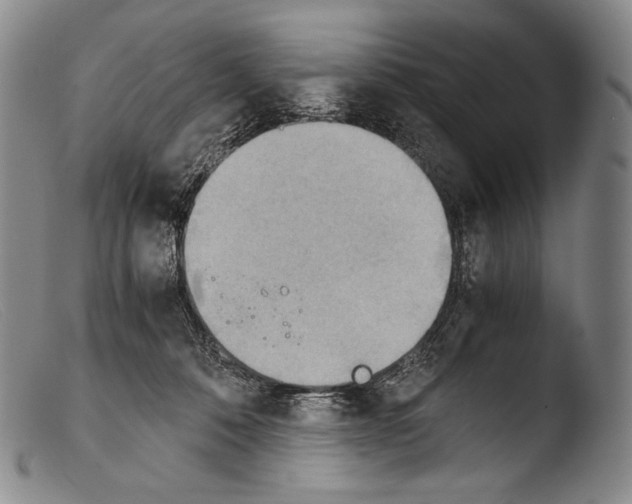 X0000103960320200810311620