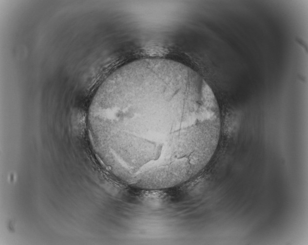X0000103960321200810311620