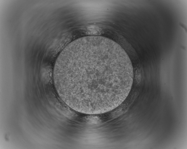 X0000103960322200810311620