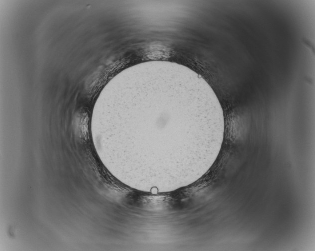 X0000103960323200810311620
