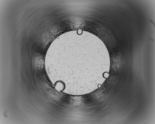 X0000103960324200810311620