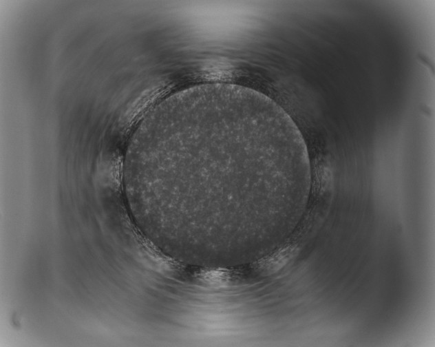X0000103960325200810311620