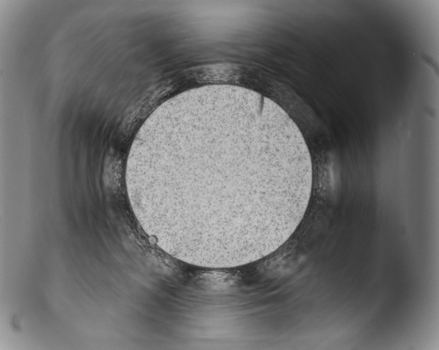 X0000103960326200810311620