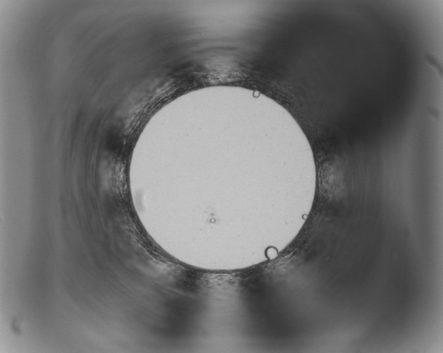 X0000103960327200810311620