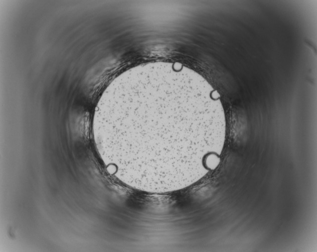 X0000103960328200810311620