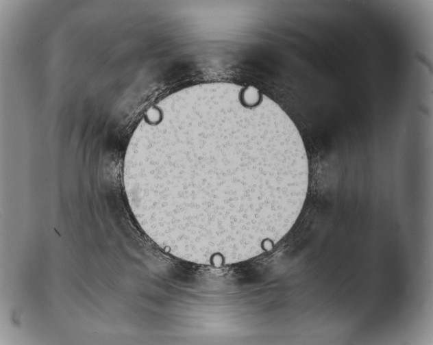 X0000103960329200810311620