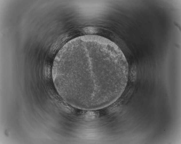 X0000103960330200810311620