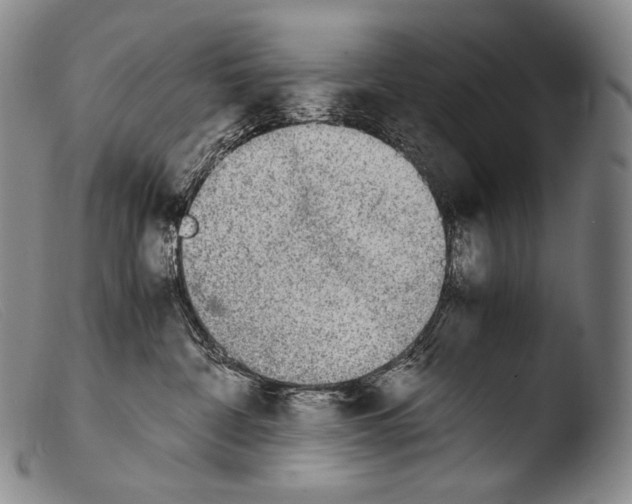 X0000103960332200810311620