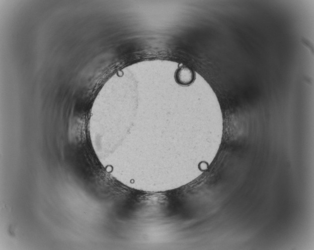 X0000103960333200810311620