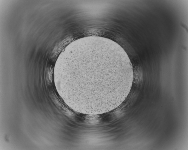 X0000103960334200810311620
