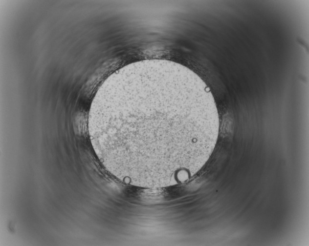 X0000103960335200810311620