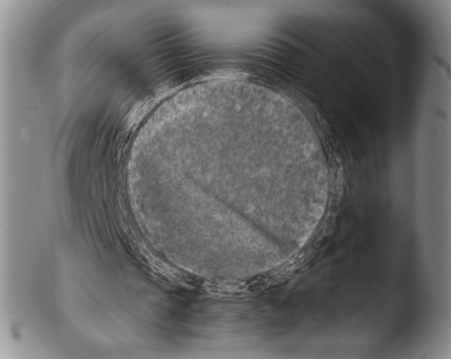 X0000103960337200810311619