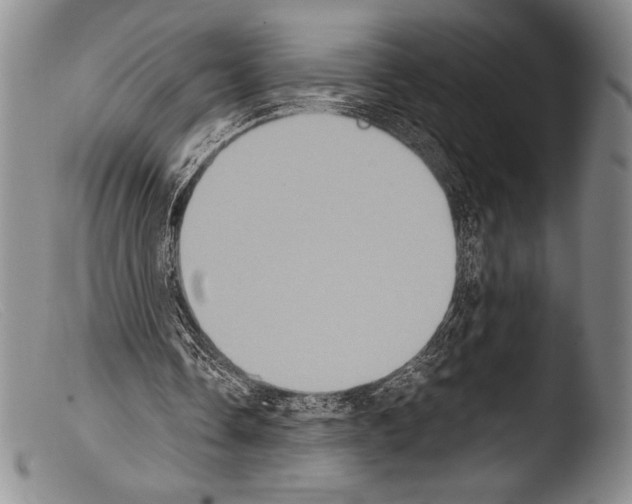 X0000103960338200810311619