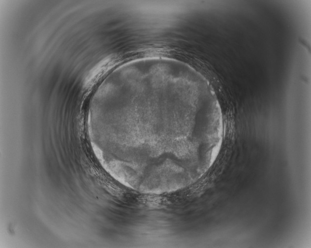 X0000103960339200810311619