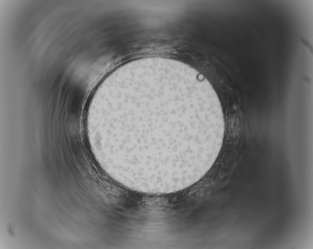 X0000103960340200810311619