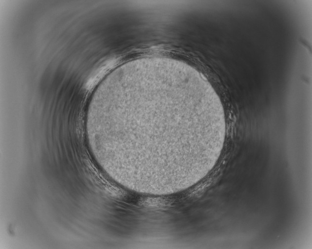X0000103960341200810311619