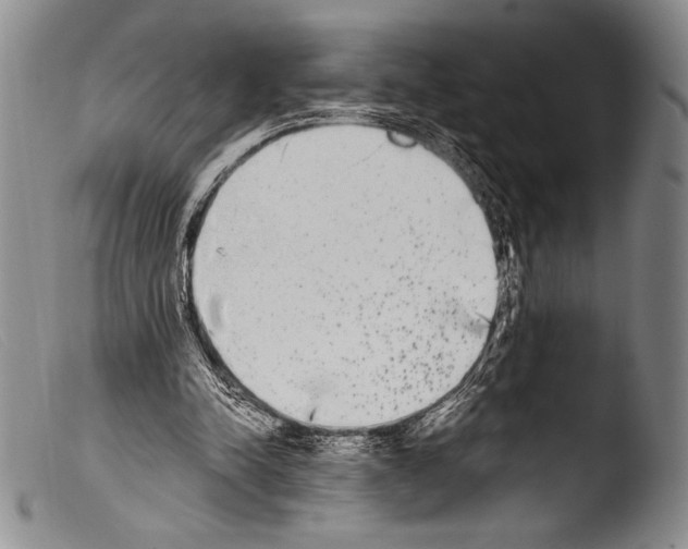 X0000103960342200810311619