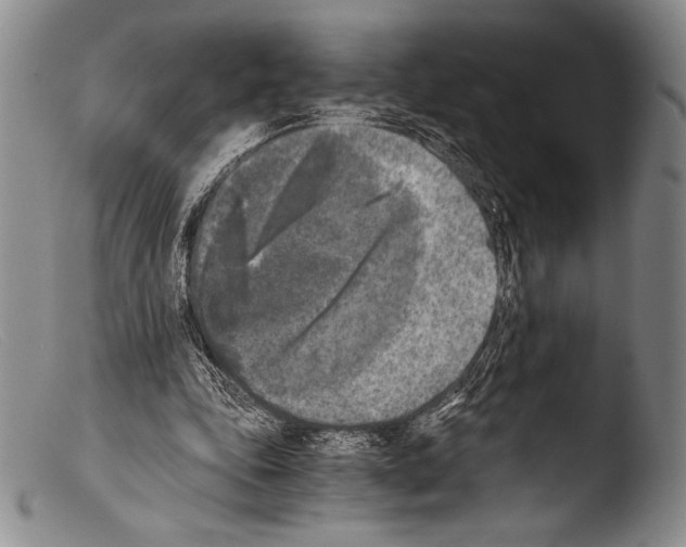 X0000103960343200810311619