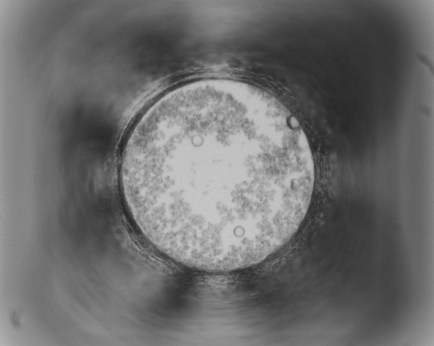 X0000103960344200810311619