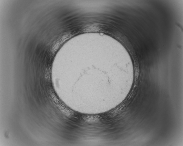 X0000103960345200810311619