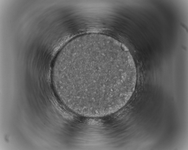 X0000103960346200810311619