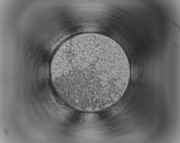 X0000103960348200810311619