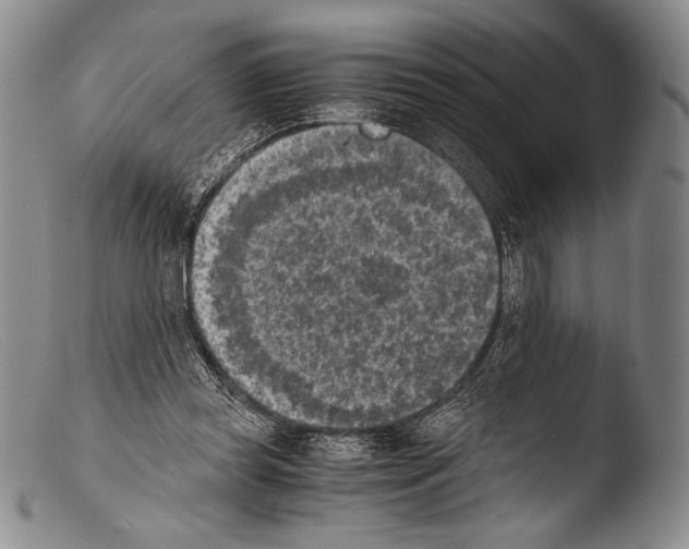 X0000103960349200810311619