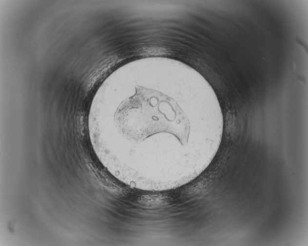 X0000103960351200810311619