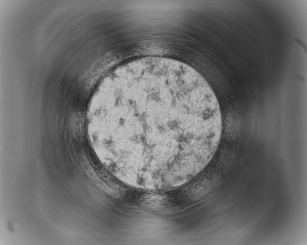 X0000103960352200810311619