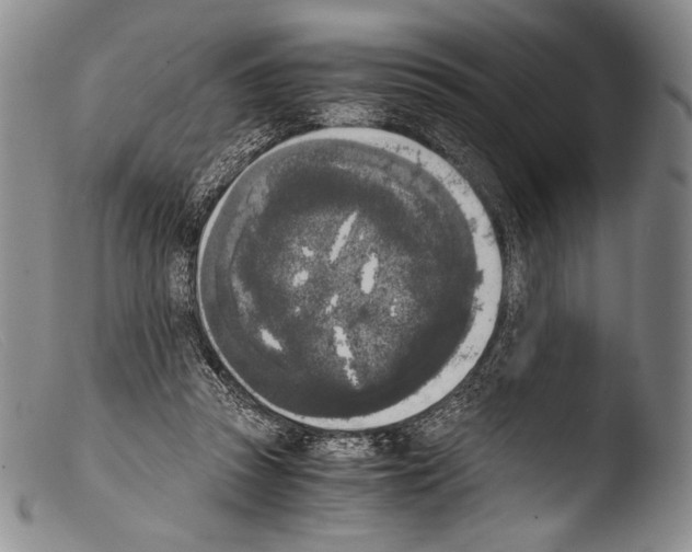X0000103960353200810311619