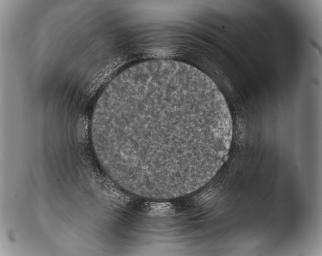 X0000103960355200810311619
